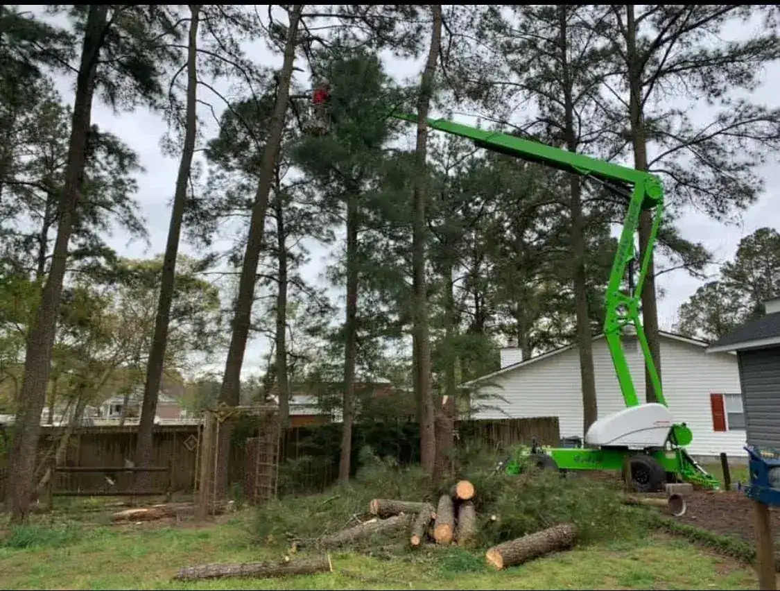 Emergency tree removal crew in Jacksonville NC using a green crane to safely cut down a damaged pine tree near a home