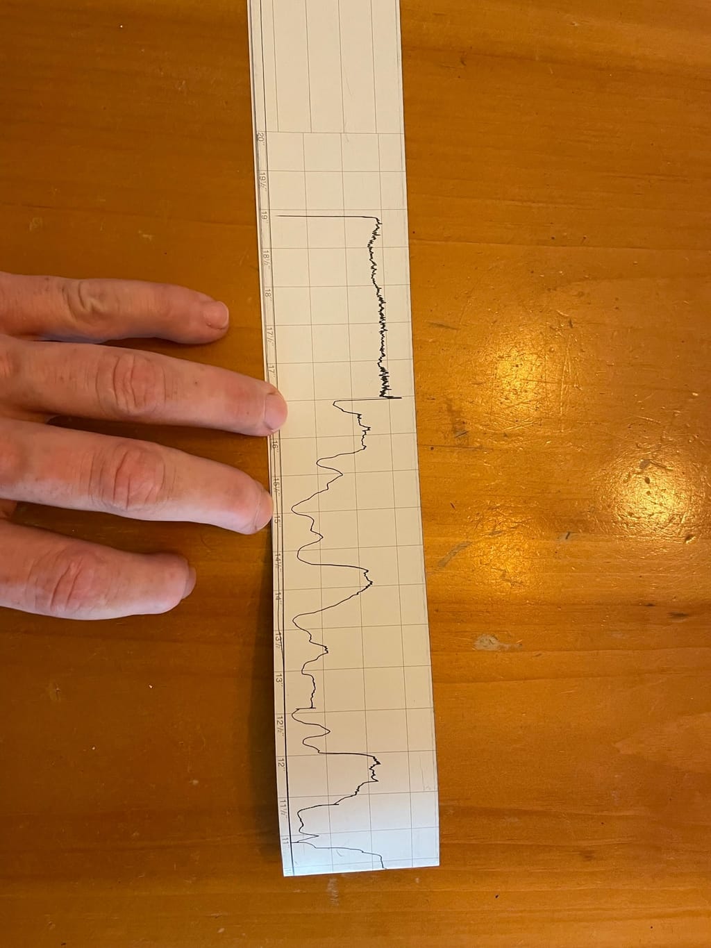 Resistograph paper trace from the 20-inch water oak: tight narrow bands at the outer edge where the wood is sound, and long rising hills that drop away through the middle where the heartwood has gone.