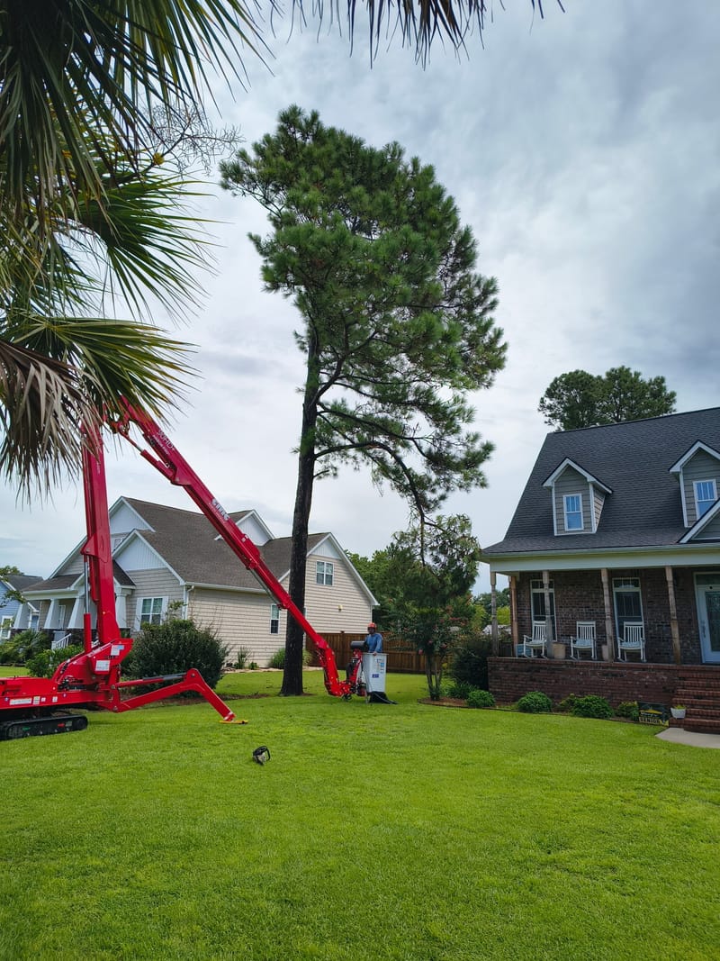 Tracked spider lift with its boom extended up into a tall pine beside a house at Holly Ridge, NC.