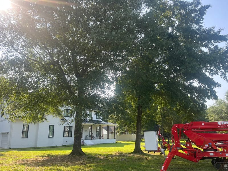 The spider lift parked on a lawn between two mature oaks, its rubber tracks spreading the load across the grass.