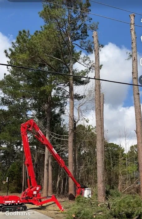 Spider lift removing large pine tree in tight space near power lines in Jacksonville NC with minimal property damage