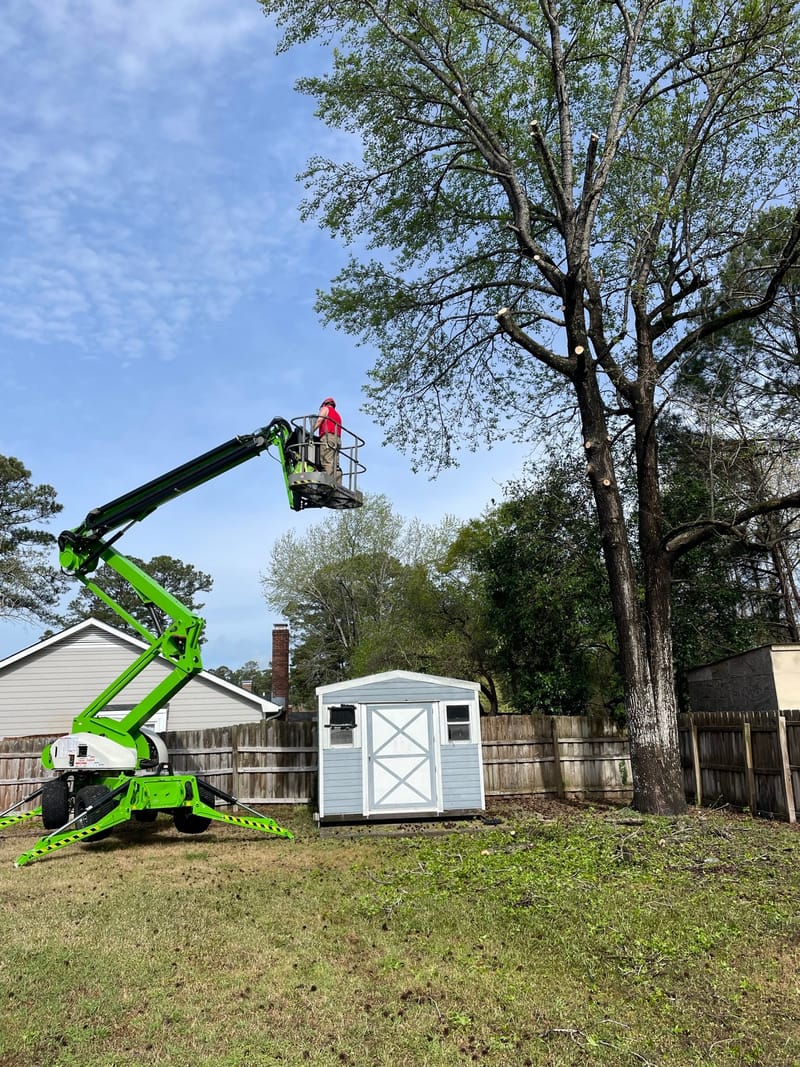 Green towable lift with an operator in the basket, working a tree above a backyard shed and fence.