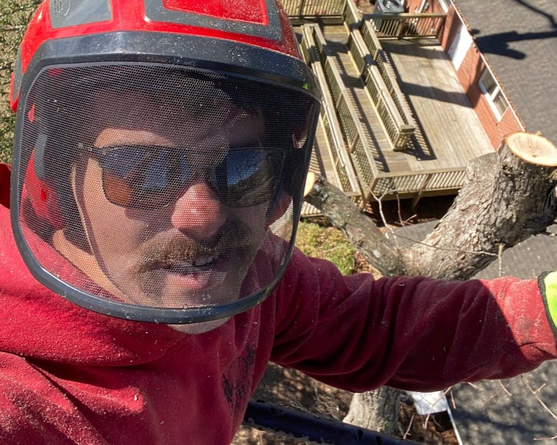 Tree removal in tight spaces in Jacksonville NC – real job-site photo by Godhans Tree Company.