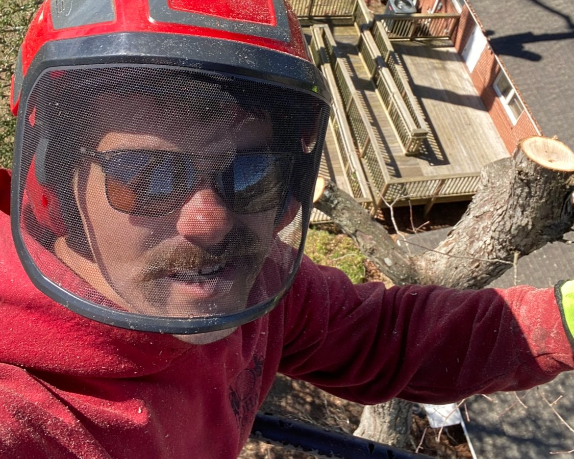 Tree removal in tight spaces in Jacksonville NC – real job-site photo by Godhans Tree Service.