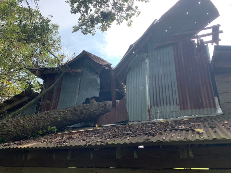 A tree trunk driven down through the metal roof of a barn in Beulaville, NC, after the October 2, 2020 thunderstorm.