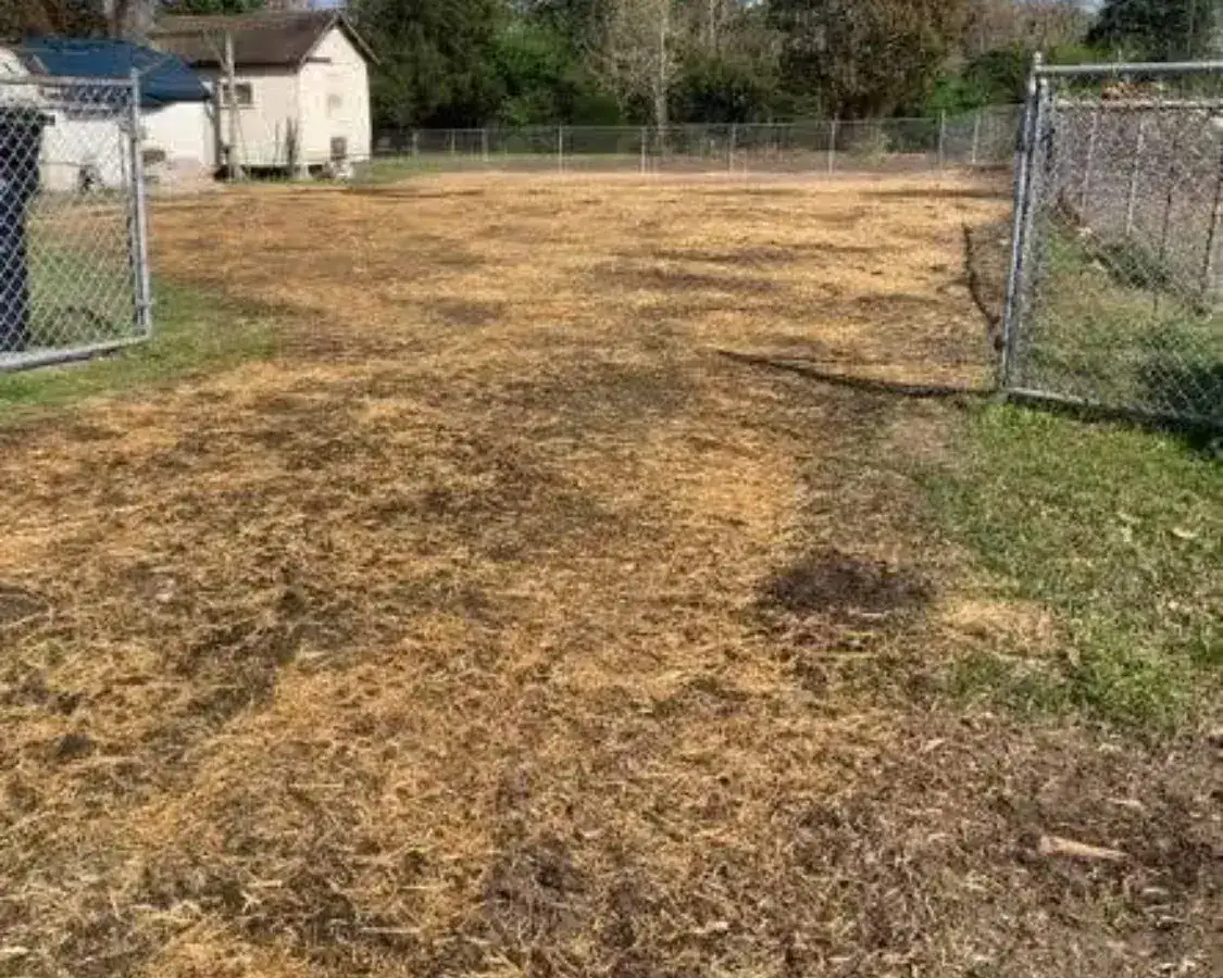 Cleaned and restored yard after emergency tree removal in Jacksonville NC