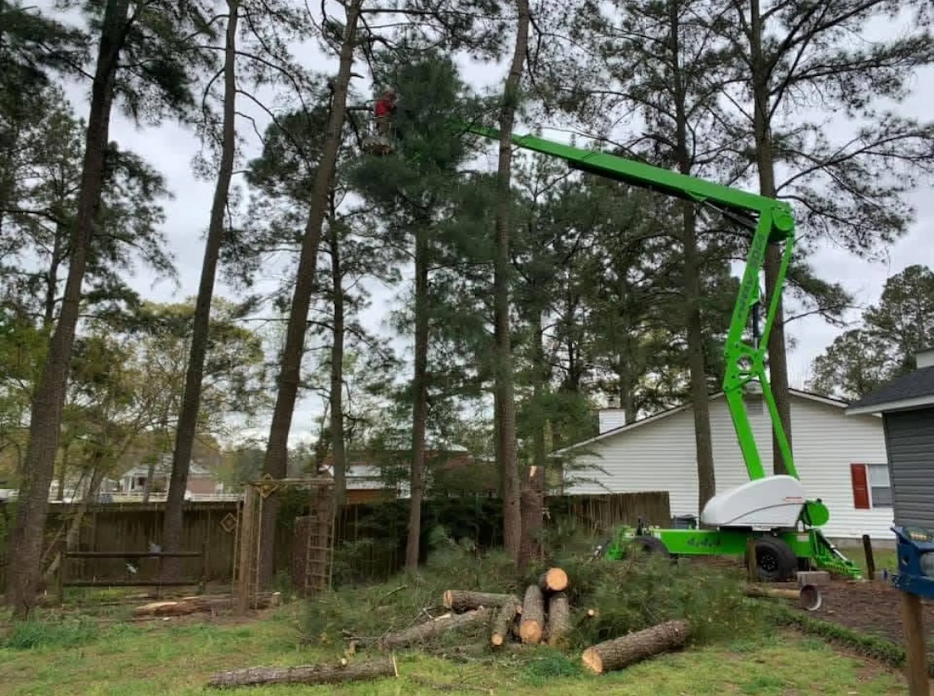 Godhans Tree Company spider lift tree removal in Jacksonville NC