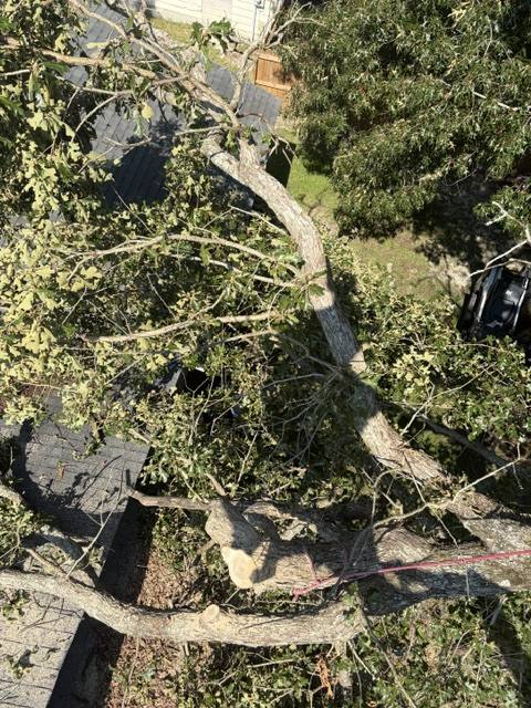 Storm-broken oak limbs across the roof, Jacksonville, NC