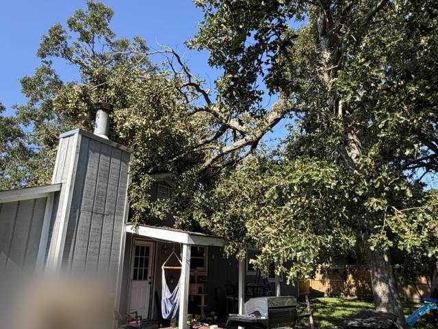 Oak failure over the home and back porch, Jacksonville, NC