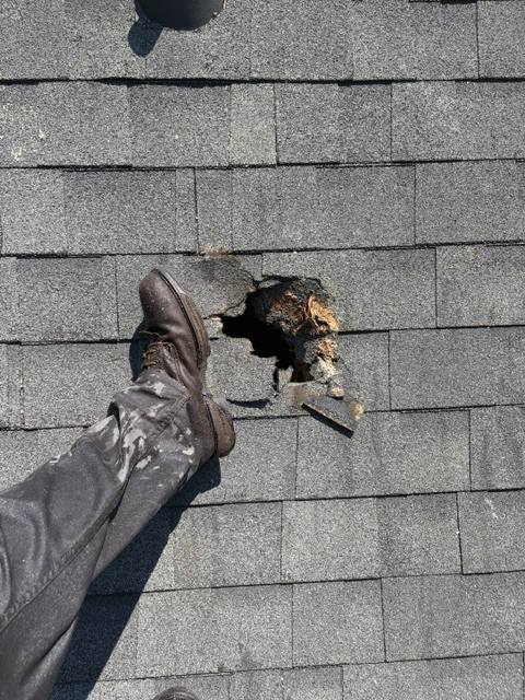 Where a limb punched through the roof, Jacksonville, NC