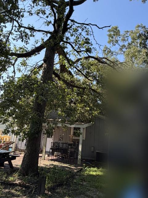The storm-damaged oak, still standing over the house, Jacksonville, NC