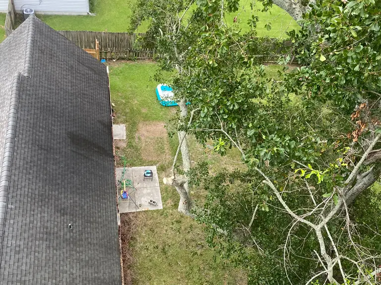 Aerial view after trimming showing limbs cleared back behind the roofline in Jacksonville, NC