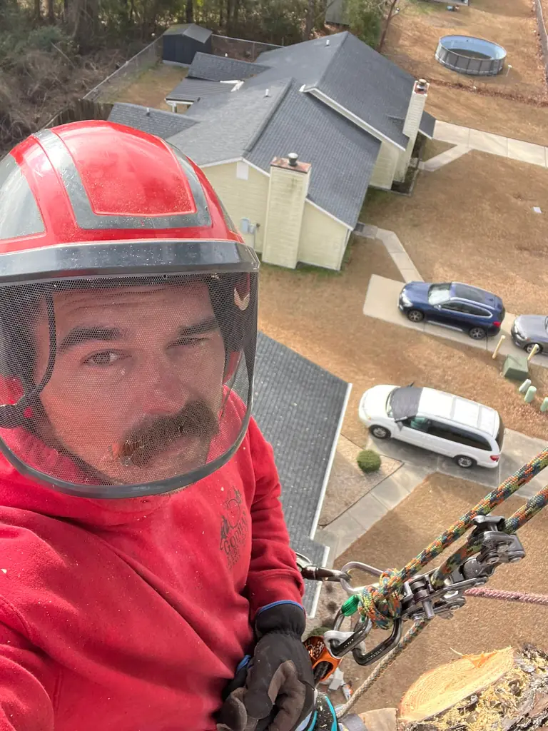 Michael Godbersen of Godhans Tree Company climbing high above Jacksonville, NC rooftops