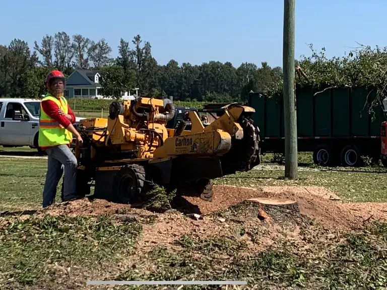 Stump grinding in Jacksonville NC by Godhans Tree Company