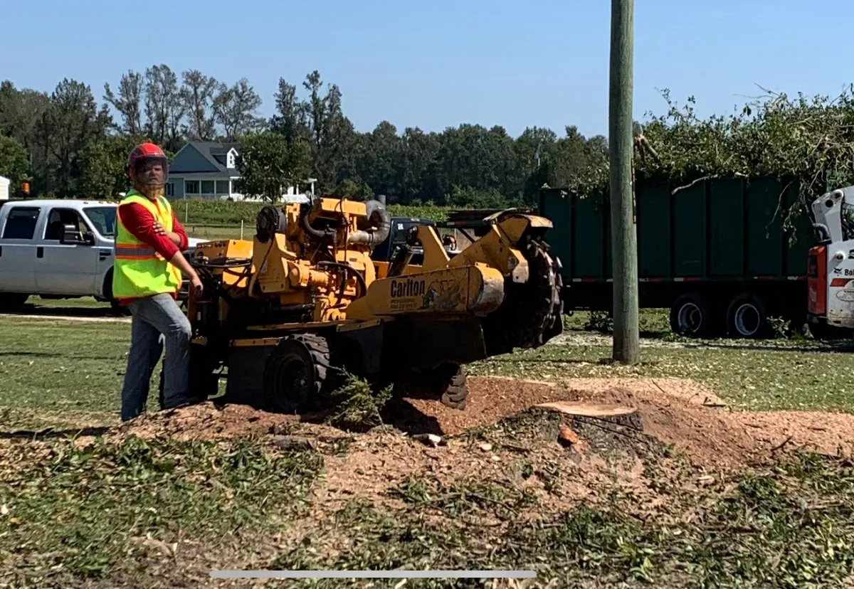 Stump grinding in Jacksonville NC by Godhans Tree Company