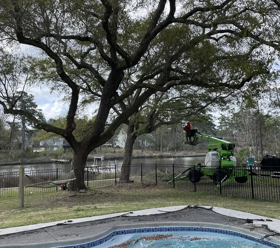 Tree trimming in Jacksonville NC by Godhans Tree Company